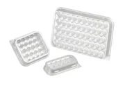 Reinraum blister